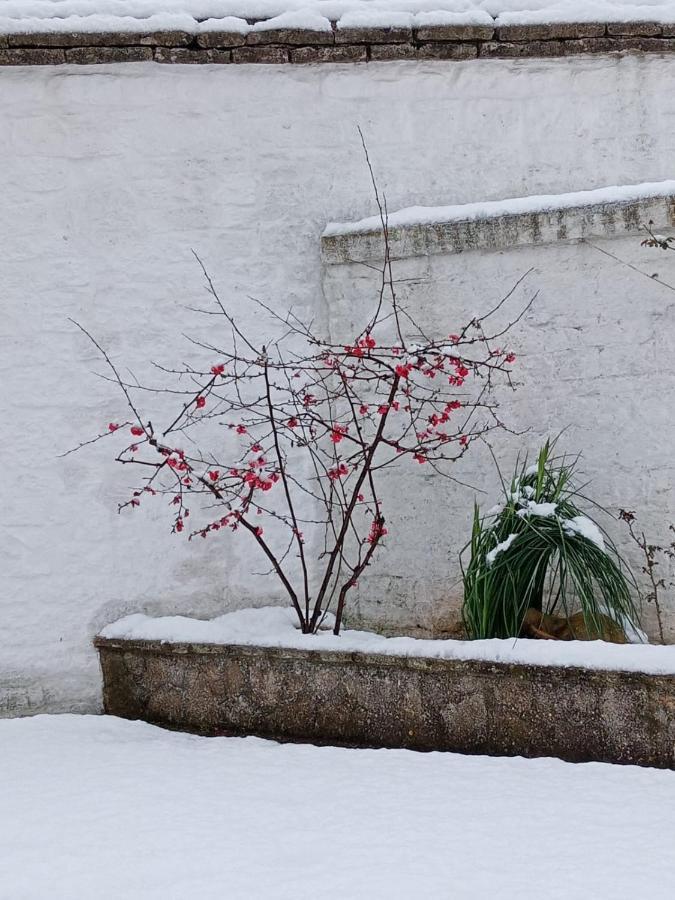 Trullo Amicizia Villa Alberobello Eksteriør billede